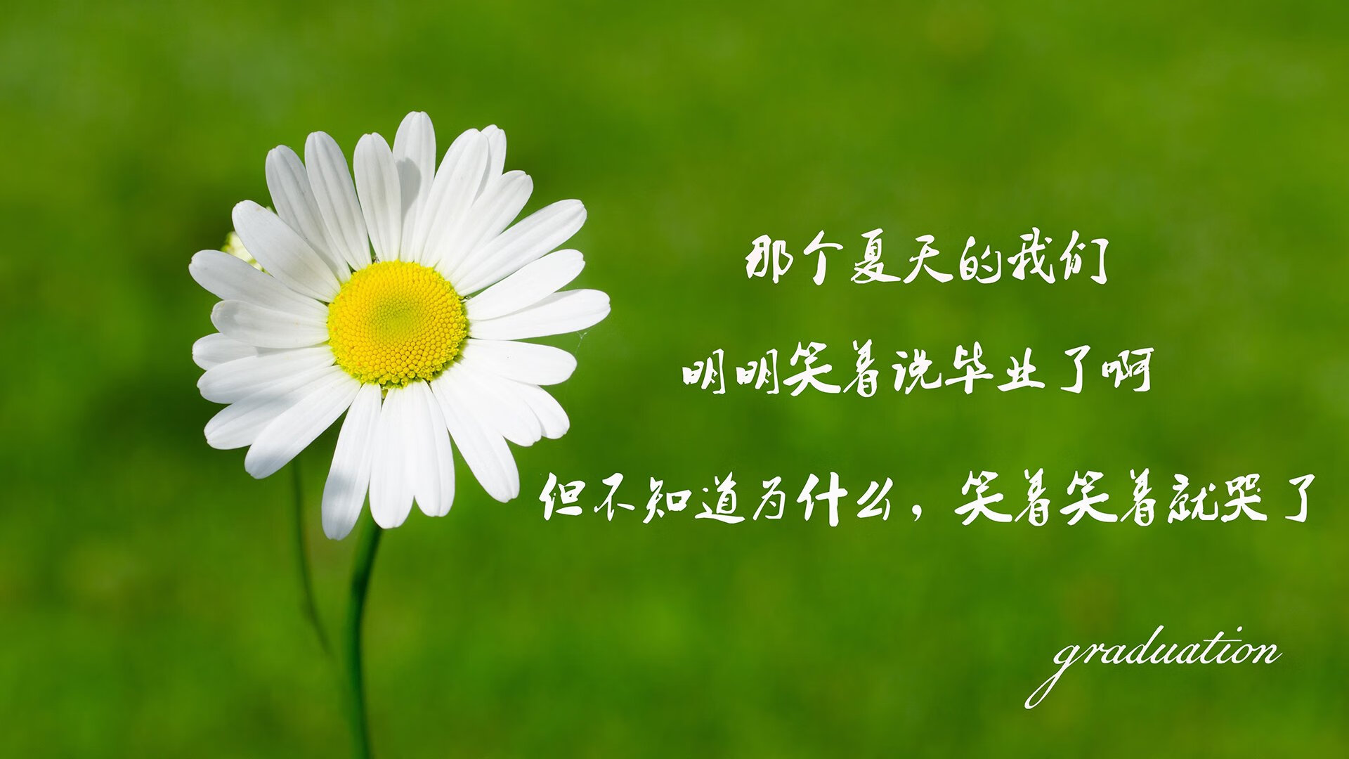 莫兰特狂飙突显巨星本色,步行者团队火力轻取尼克斯