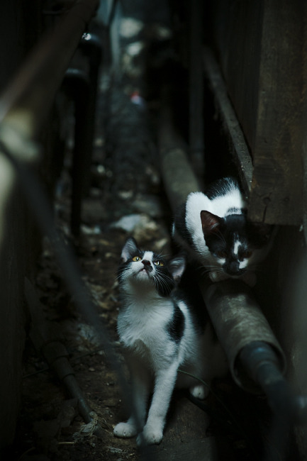 欧冠半决赛之夜,京多安,那个定义攻防转换的男人