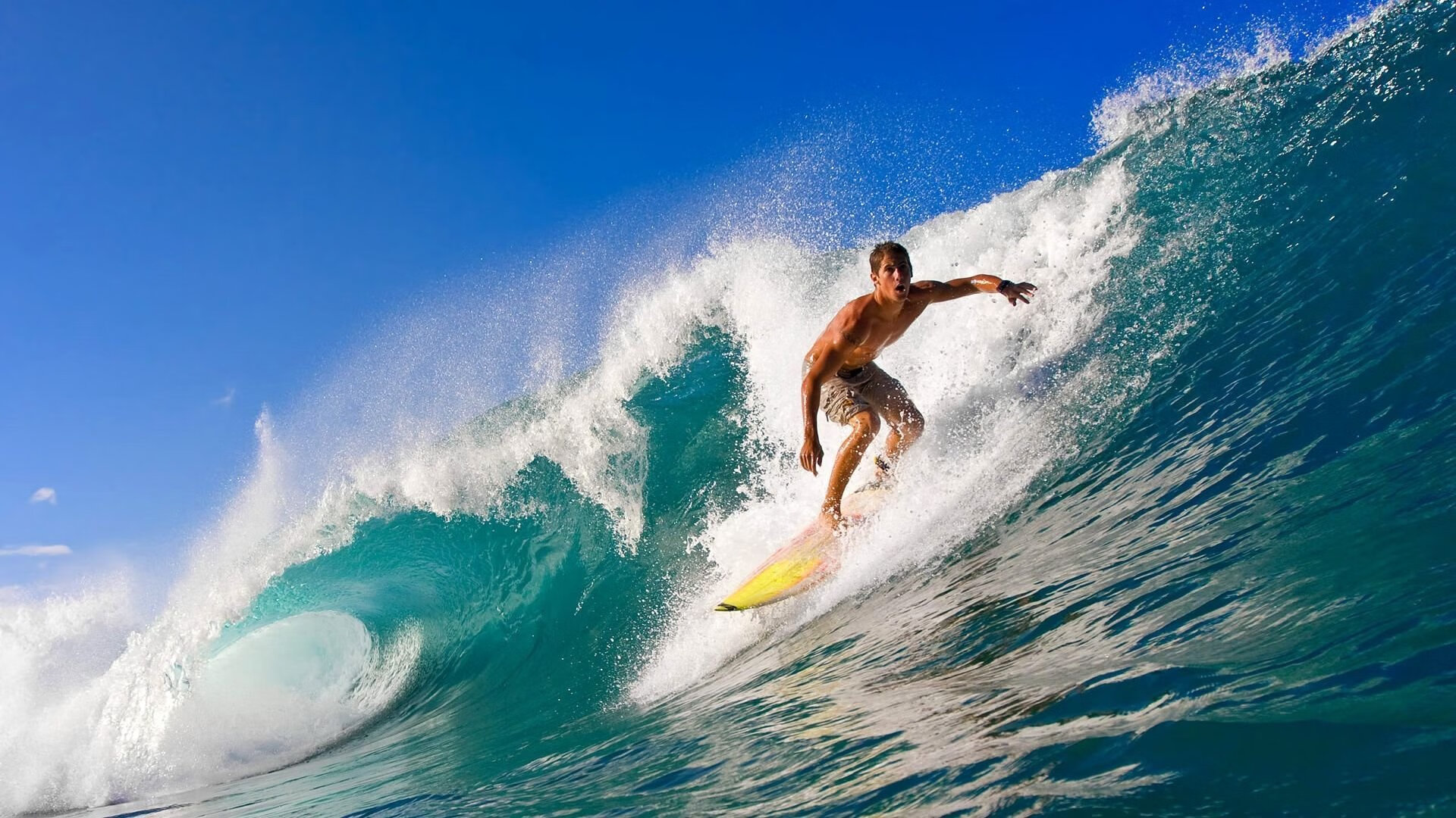 奥运周期关键战焦点战，葡萄牙如何带走加拿大