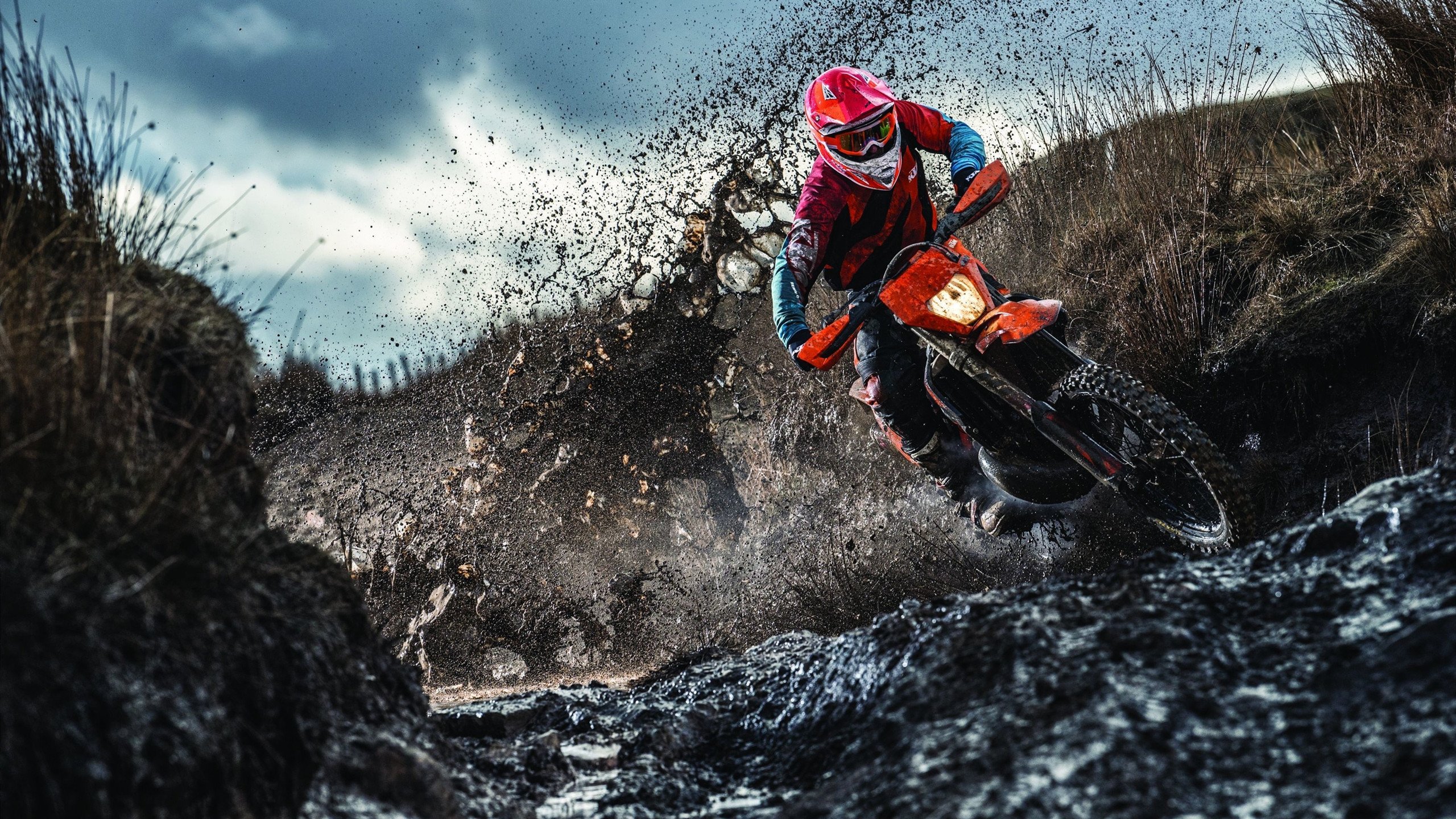 戈贝尔攻防转换核心引领森林狼崛起，76人战术压制猛龙成东部新范本